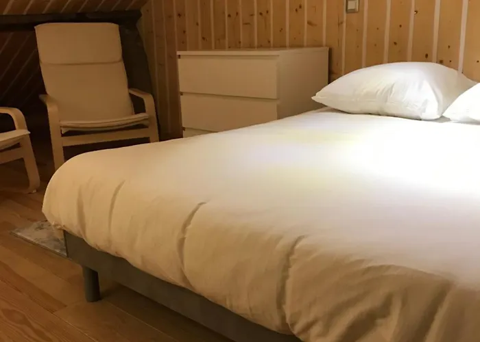 Studio De 35M2 Au Centre De Cusset