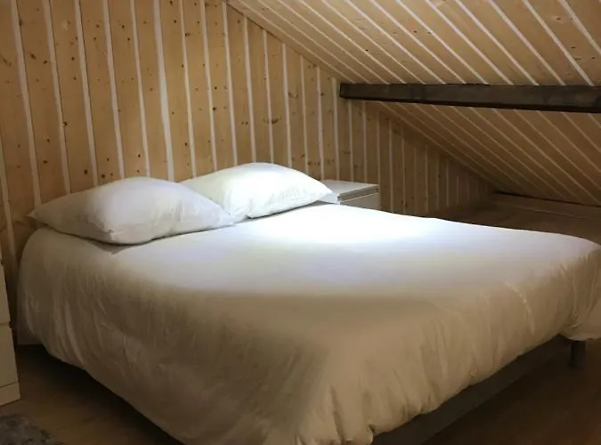 Studio De 35M2 Au Centre De Cusset