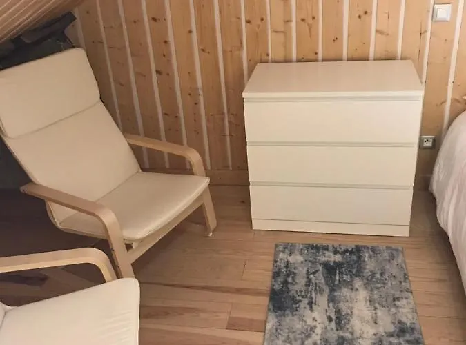 Studio De 35M2 Au Centre De Cusset